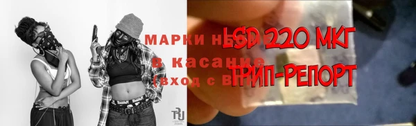 прущие крисы Алзамай