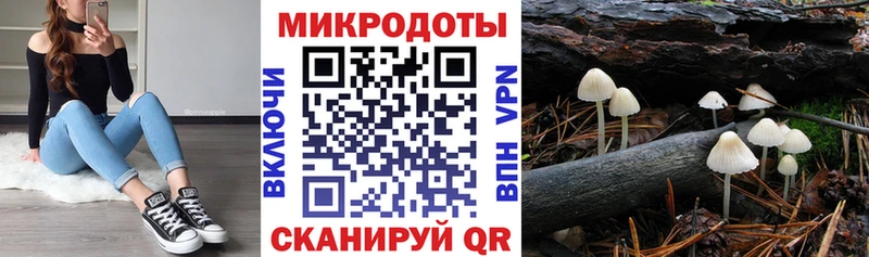 Галлюциногенные грибы Cubensis  Андреаполь 